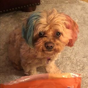 Meet your Posher, Chelene l